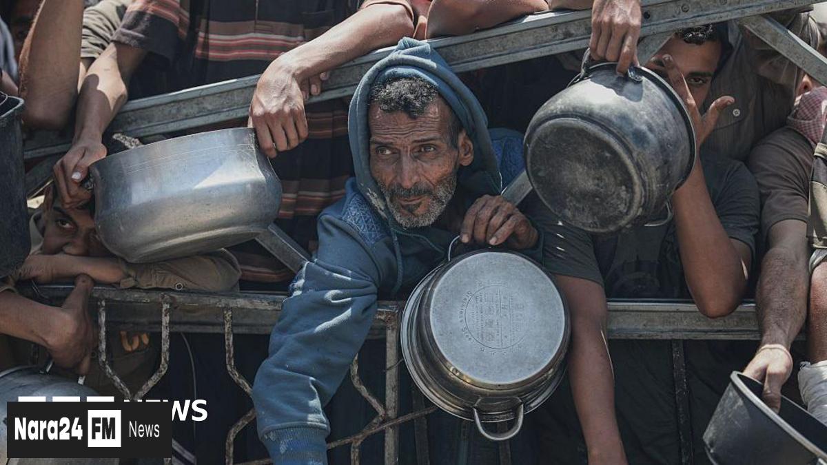 Gaza's Malnutrition Crisis Escalates: 154 Lives Lost Since 2023, Famine Fears Rise