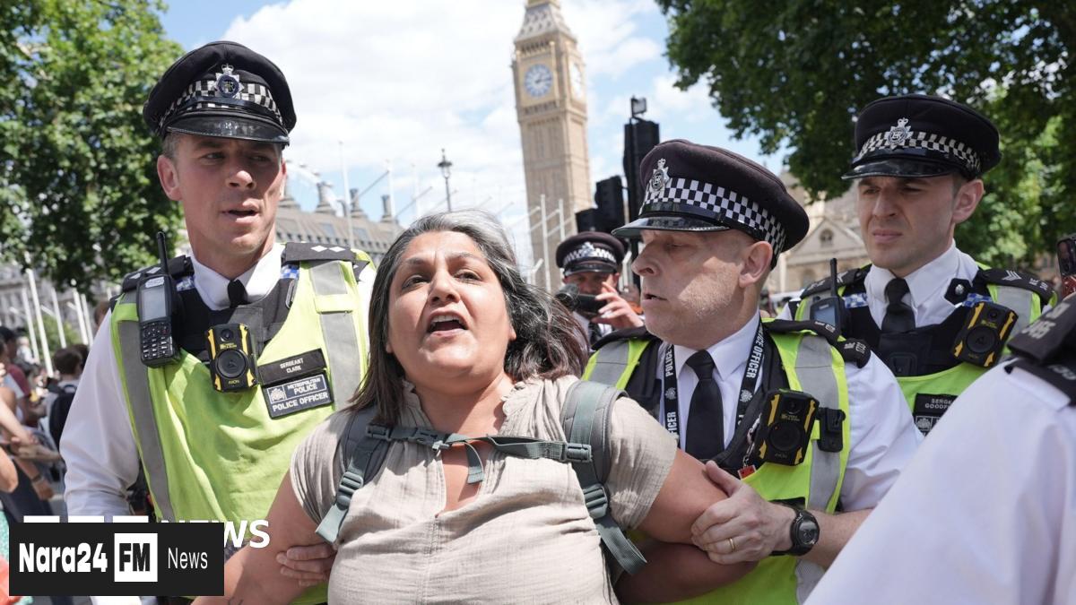 Palestine Action Protest Sparks Over 300 Arrests in London Demonstration