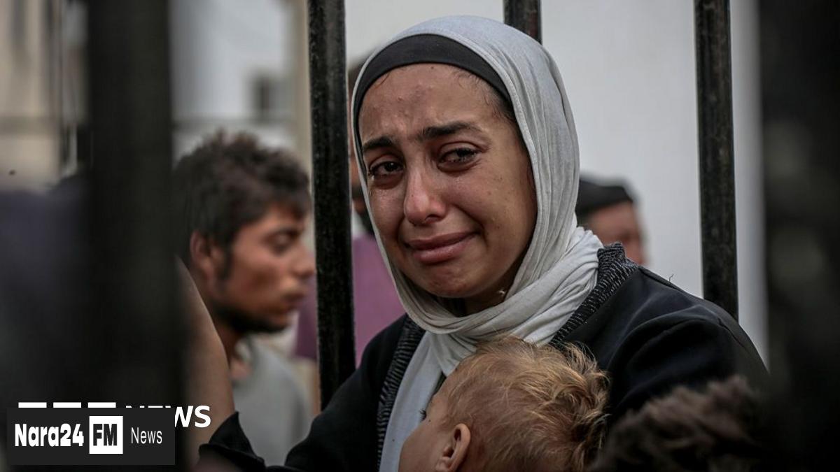 US Envoy Travels to Gaza Amid Rising Aid-Related Casualties