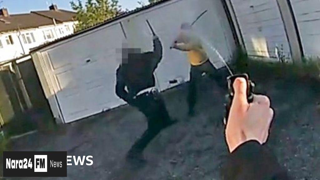 A Tragic Day in Hainault: The Recount of a Fatal Rampage