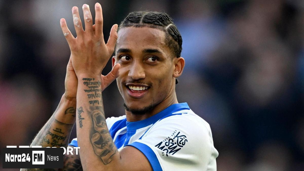 Chelsea Secures Joao Pedro in £60m Deal from Brighton