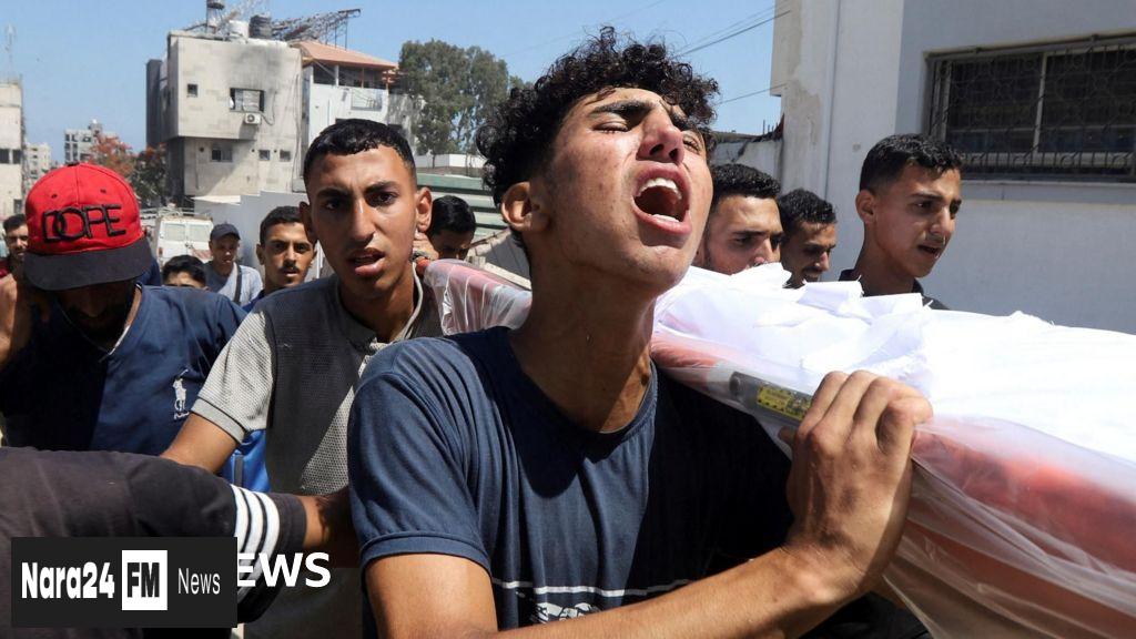 Ceasefire Talks Intensify Amid Ongoing Gaza Conflict, Says Hamas Official