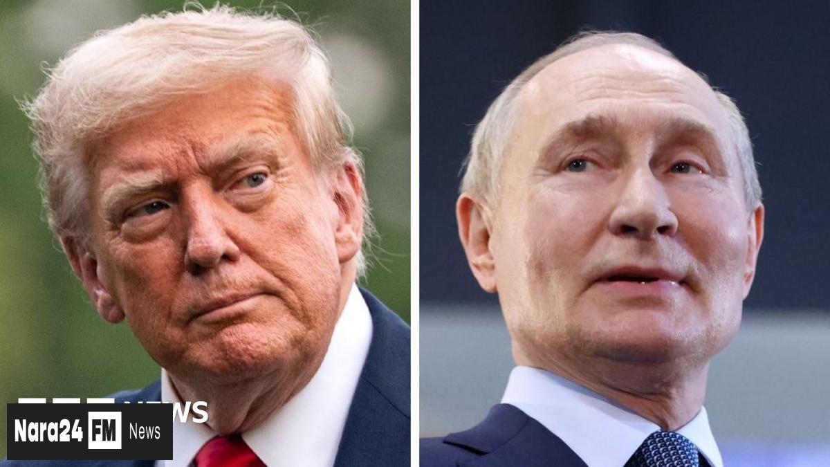 **Trump-Putin Summit Unlikely to Expedite Ukraine War Resolution**