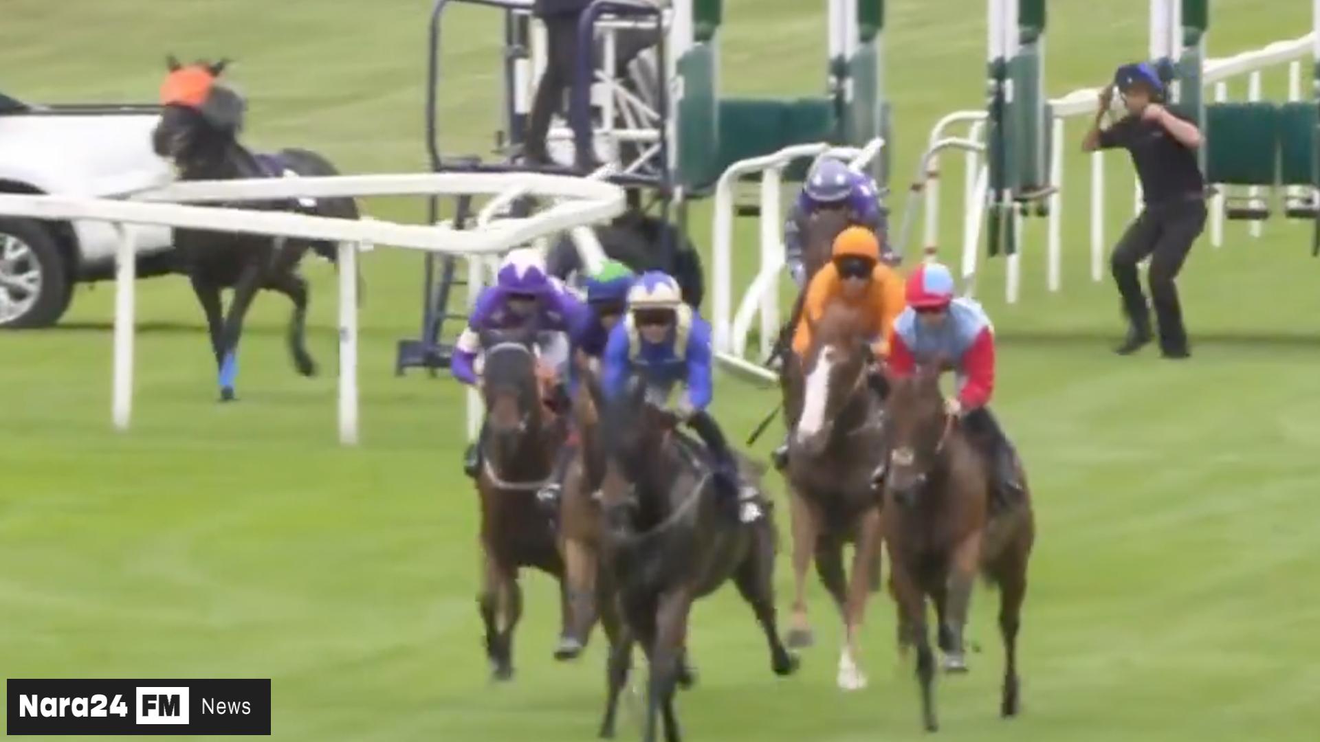 Chaos Erupts at Windsor Racecourse as Blindfolded Horse Causes Havoc