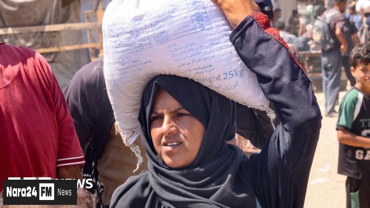 Gazans Mixed on Aid Plan as Crisis Deepens Amid Ongoing Conflict