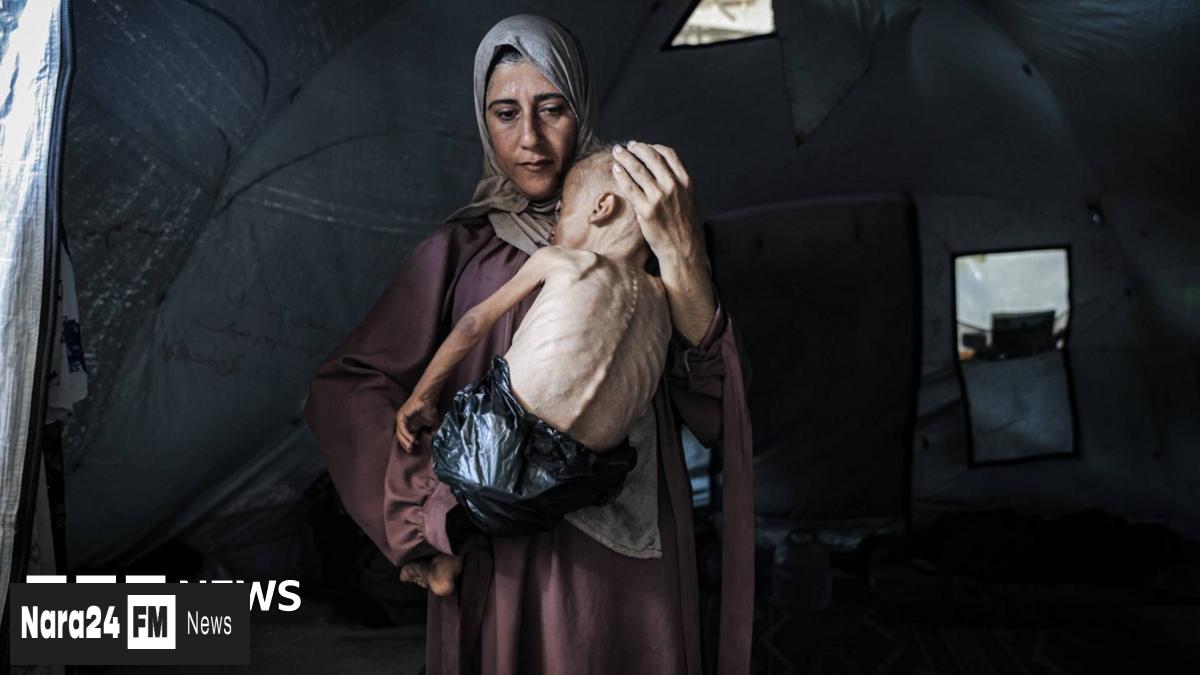 Crisis in Gaza: Over 100 Groups Alarm Over Looming Mass Starvation