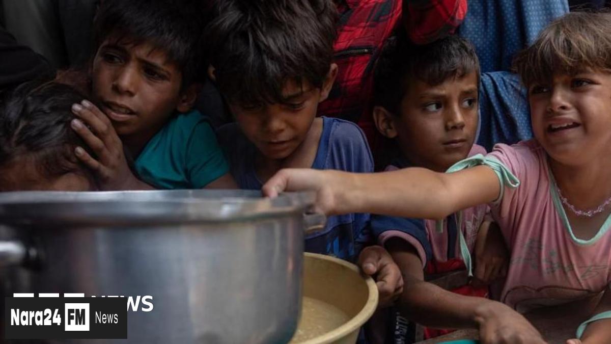 Third of Gazans Starving Daily: Hunger Crisis Intensifies Amid Ongoing Conflict