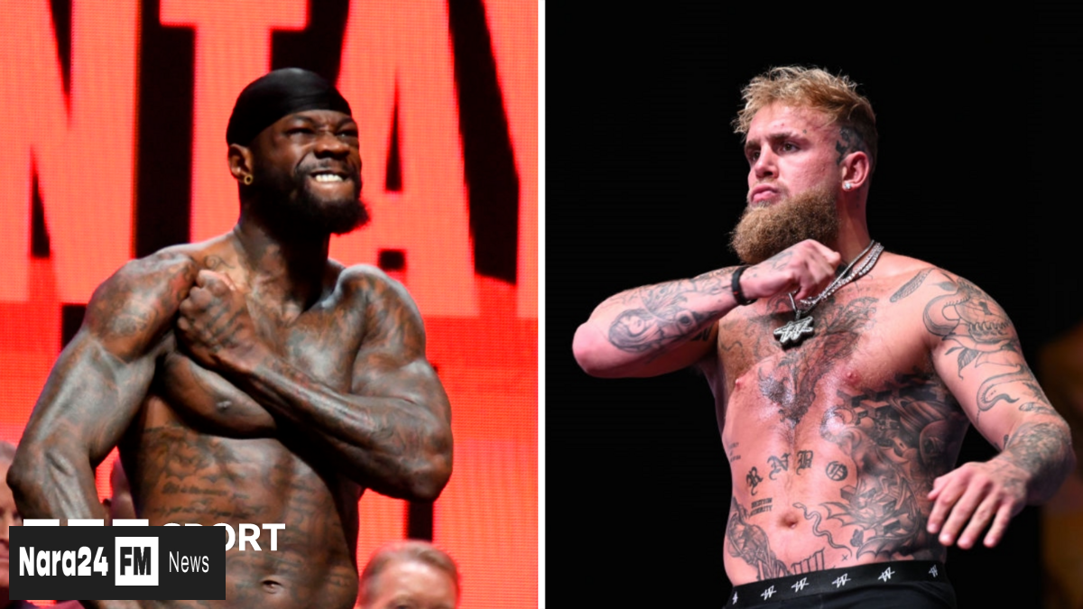 A Potential Showdown: Could Wilder and Paul Face Off in the Ring?