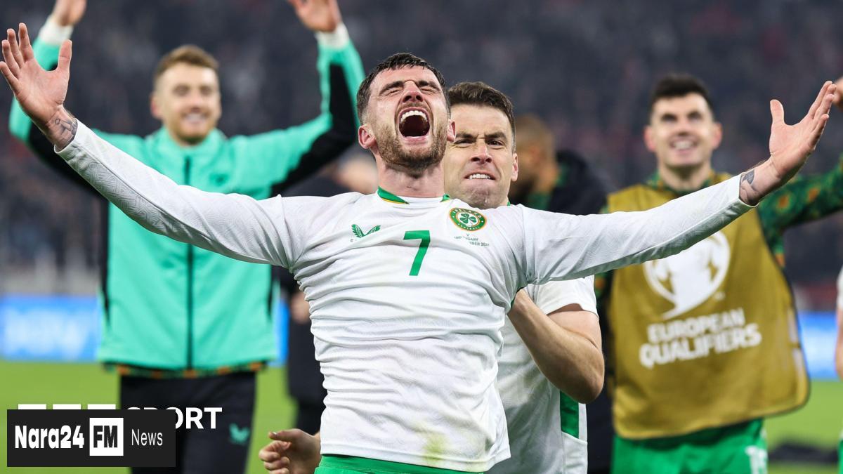 Ireland's Miraculous Hat-Trick Heroics Secure World Cup Play-Off Spot