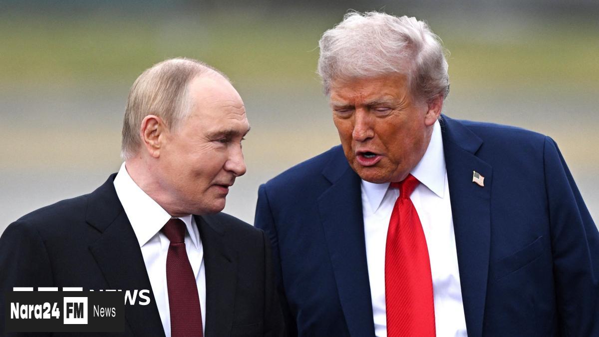 Putin Proposes Frontline Freeze in Ukraine Amid Shifting US Stance