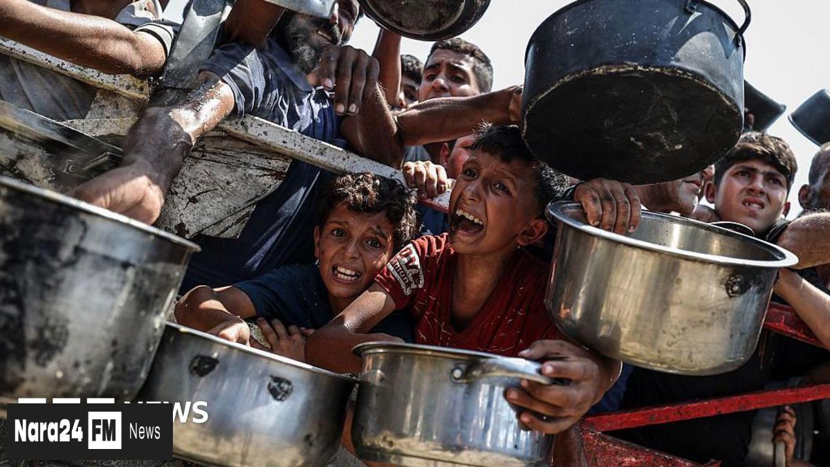 UN Warns of Ongoing Famine in Gaza Amid Escalating Humanitarian Crisis