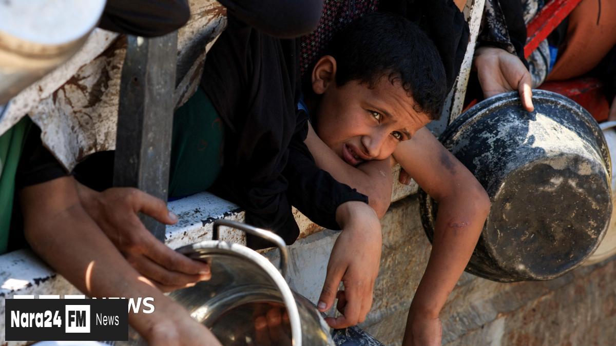 Air Drop Aid to Gaza Labeled as Desperation, Won't Alleviate Hunger