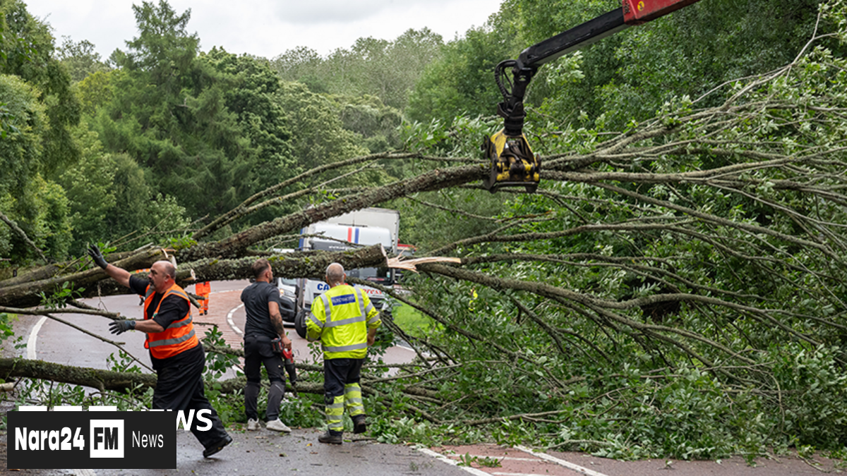 Storm Floris Leaves Thousands in Darkness as Transport Chaos Continues