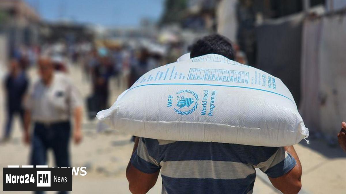 Media Outlets Sound Alarm Over Gaza Journalists Starving Amid Blockade