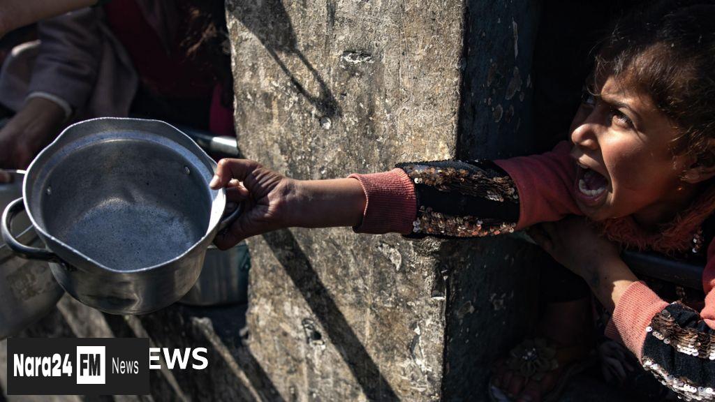 Trump's Global Aid Cuts Could Lead to 14 Million Deaths by 2030, Study Warns