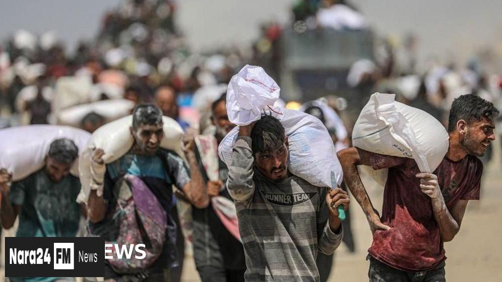 Malnutrition Claims 11 Additional Lives in Gaza, Health Ministry Reports