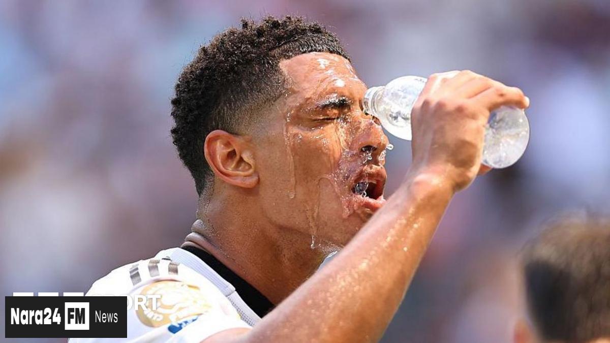Reconsidering the Kick-off Time: Early Start for World Cup Final Suggested Amid Heatwave Concerns