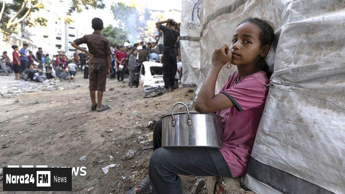 France Sparks Diplomatic Row with Planned Palestinian State Recognition