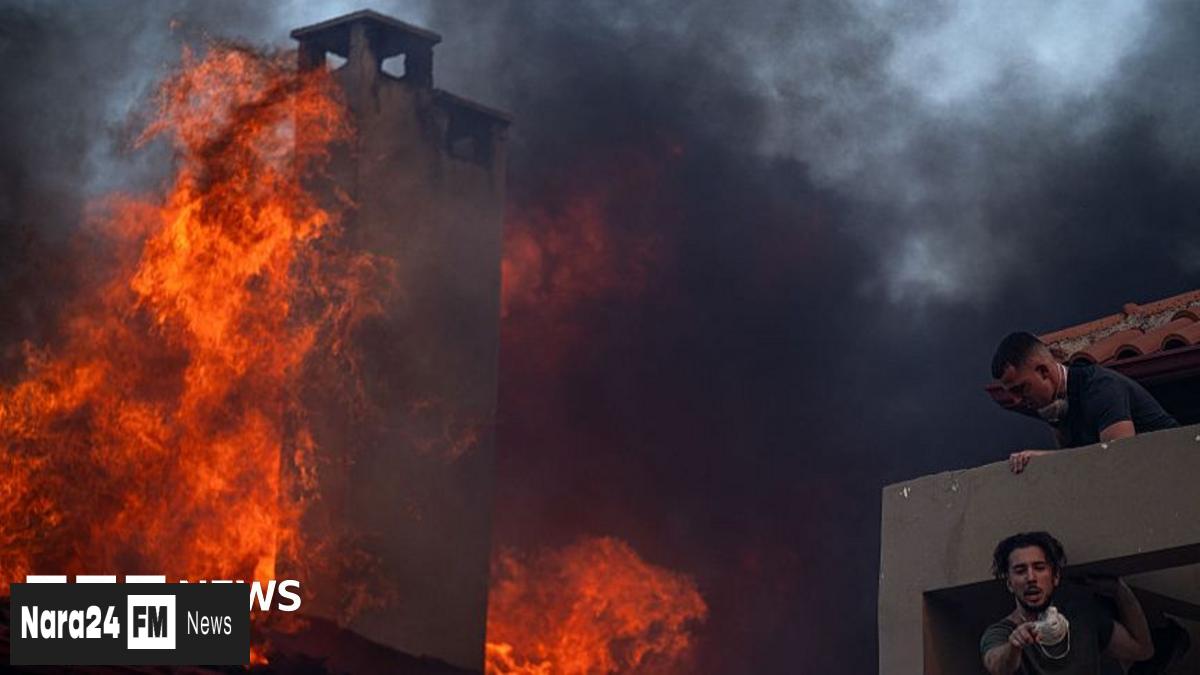 Greece's Unrelenting Wildfires Spark EU Aid Plea Amid Record Heatwave