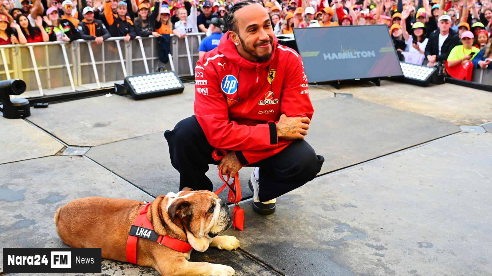Lewis Hamilton Shares Emotional Farewell to Beloved Pet Dog Roscoe After Tragic Passing