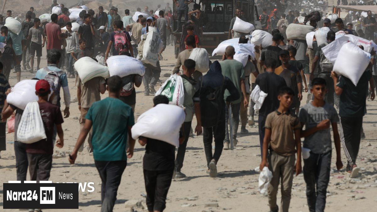Israel Announces Daily Humanitarian Ceasefires Amid Mounting Gaza Starvation Deaths