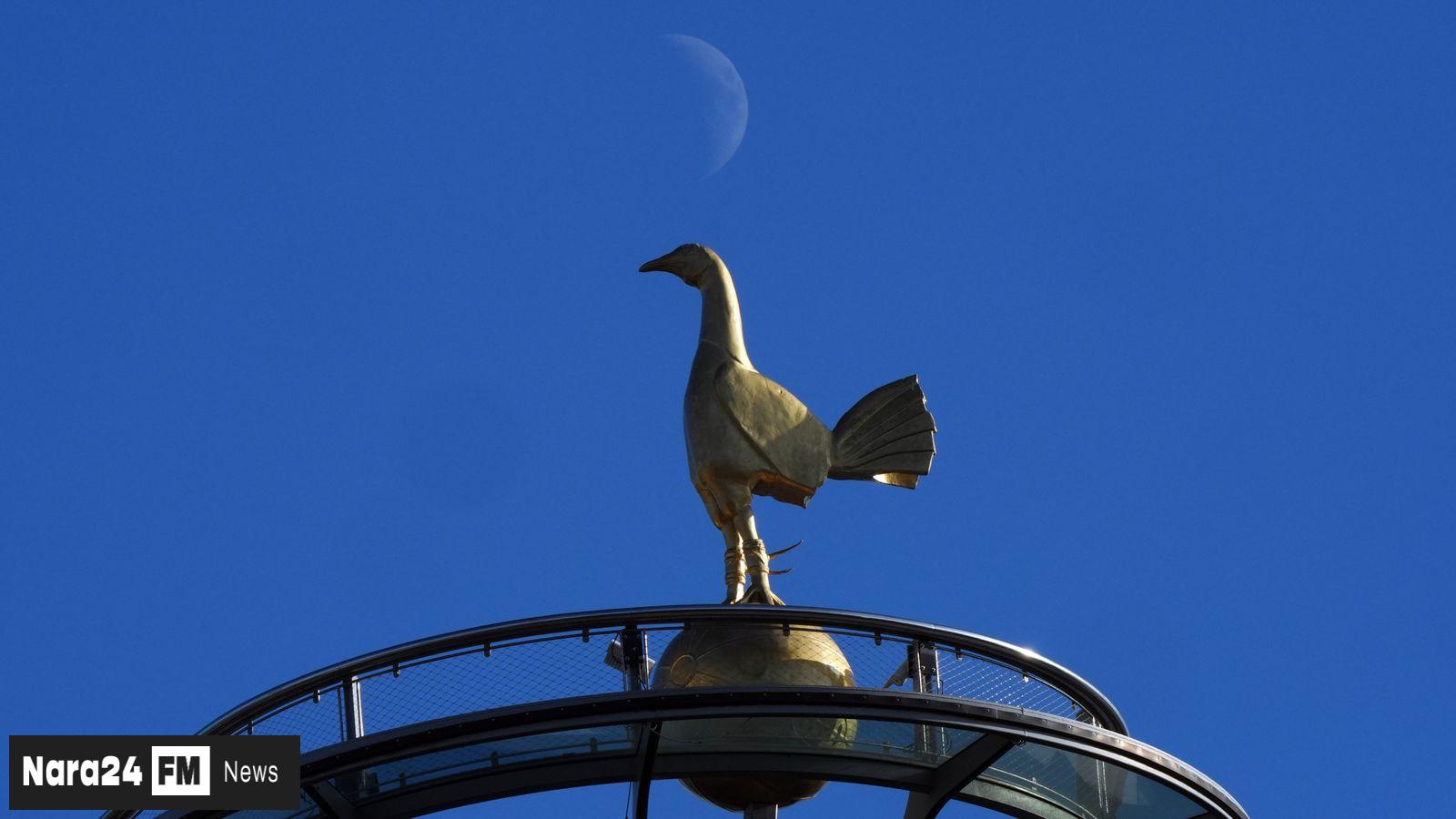 Third Suitor Withdraws as Tottenham Ownership Stays Firm