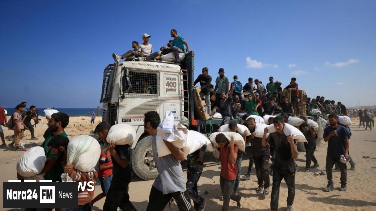 Israeli Forces Reportedly Kill 67 Palestinians Awaiting Aid in Northern Gaza