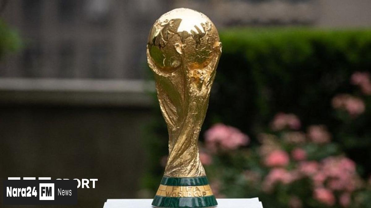 2026 World Cup Qualifiers Reveal Exciting Progress