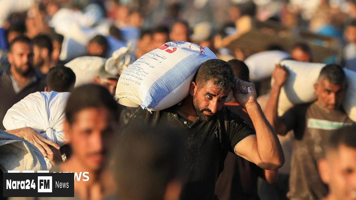 Israeli Fire Kills Dozens Seeking Gaza Humanitarian Aid