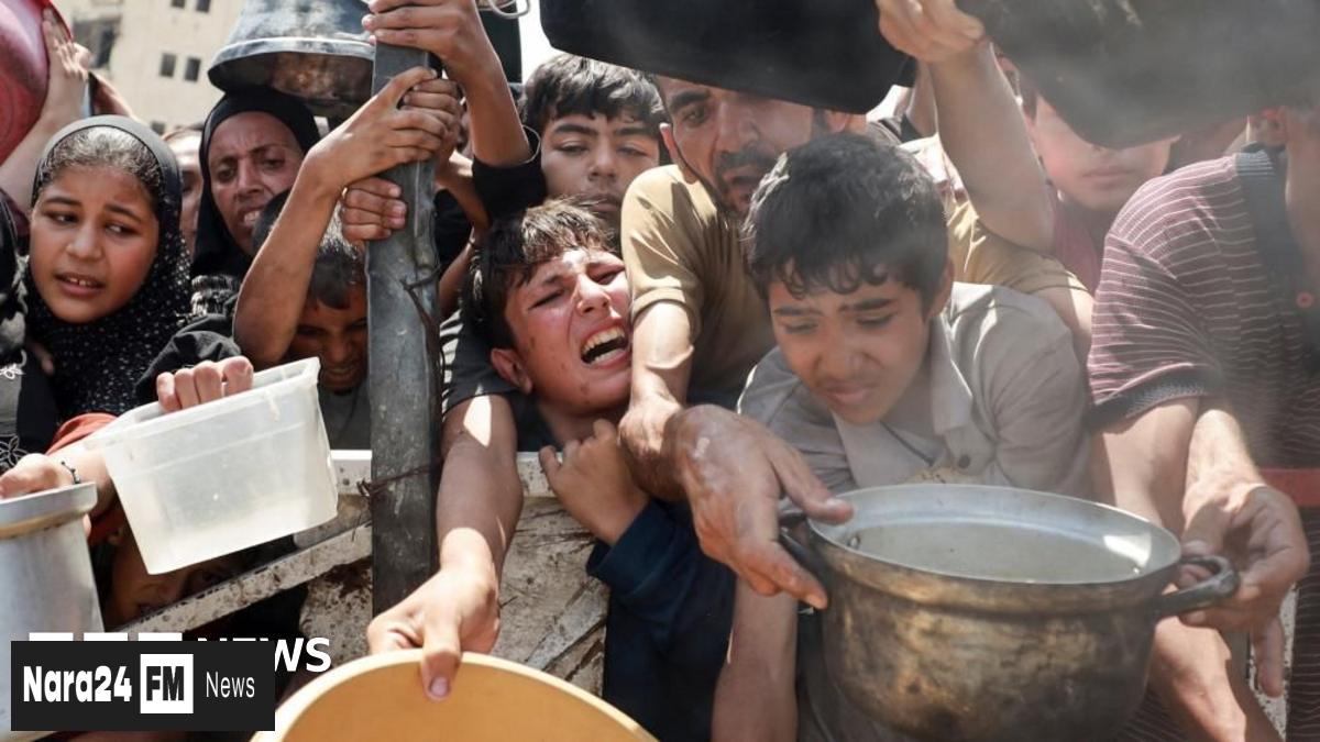 ** Gaza Faces Rising Malnutrition Deaths Amid Aid Distribution Chaos  

**