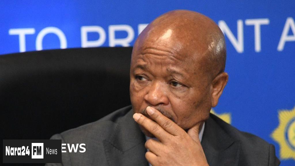 South Africa's Police Minister Suspended Amid Organized Crime Allegations