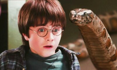 harry-potter’s-snake-interaction-in-first-movie-prompts-analysis-from-expert