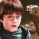 harry-potter’s-snake-interaction-in-first-movie-prompts-analysis-from-expert