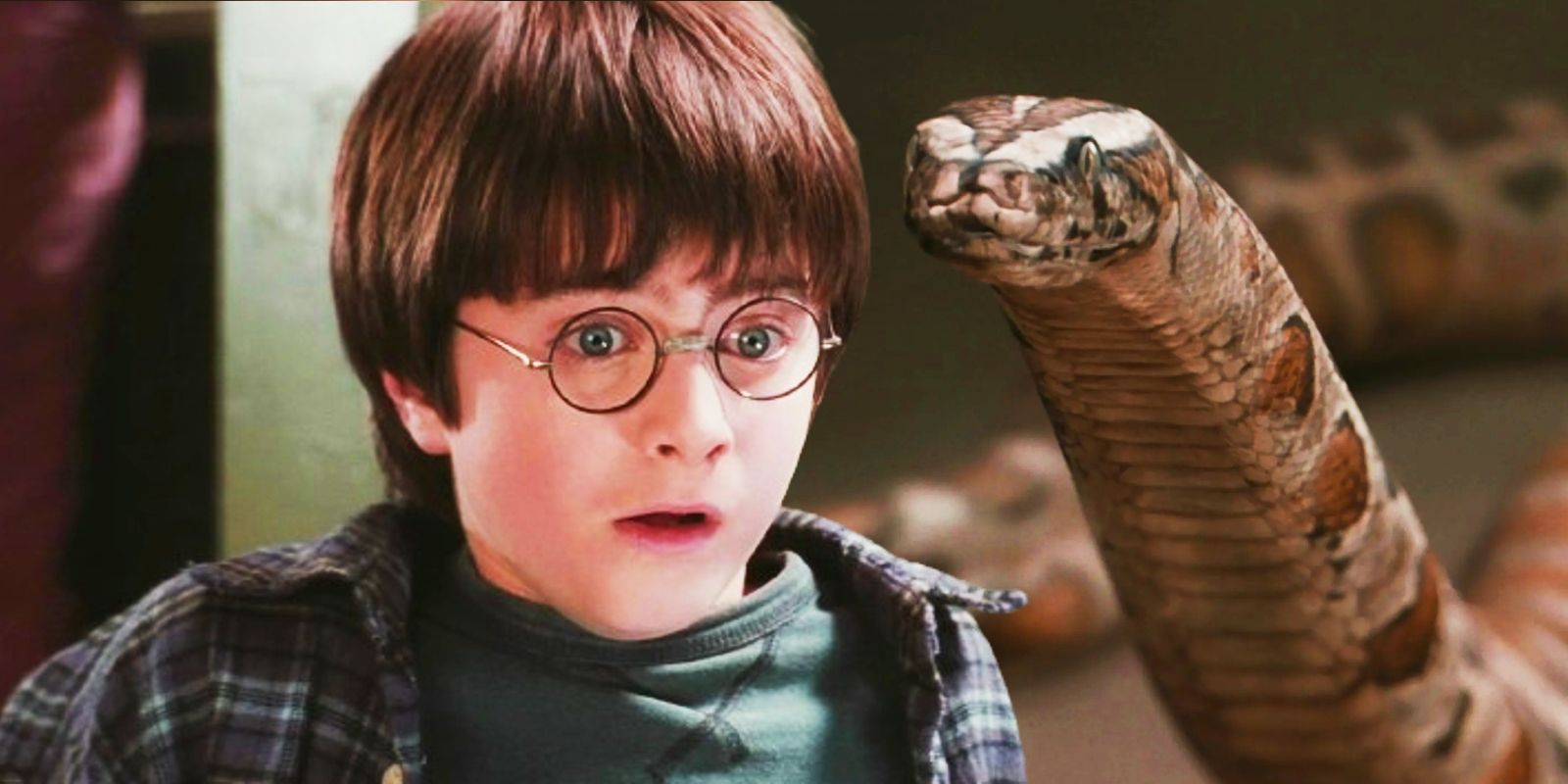 harry-potter’s-snake-interaction-in-first-movie-prompts-analysis-from-expert