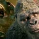 godzilla-minus-one-director-lends-his-support-to-godzilla-x-kong-with-short-review