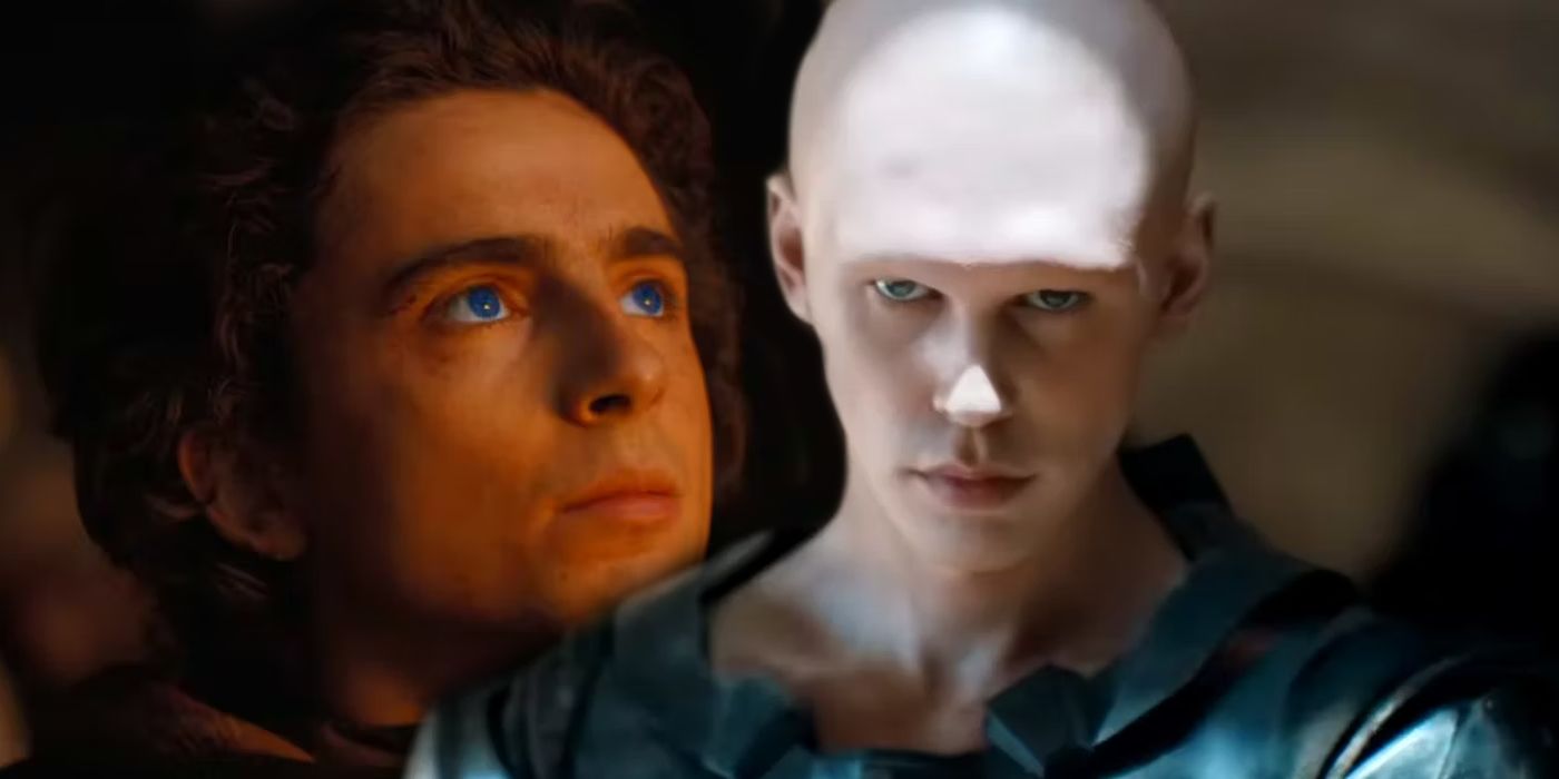dune-easter-egg-in-wes-anderson-movie-uncovered-12-years-later-(&-even-the-star-is-surprised)