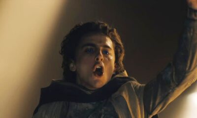 timothee-chalamet-cements-a-list-status-with-massive-warner-bros-deal