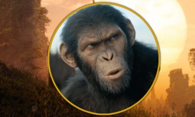 kingdom-of-the-planet-of-the-apes-screenx-poster-highlights-humanity’s-fall-[exclusive]