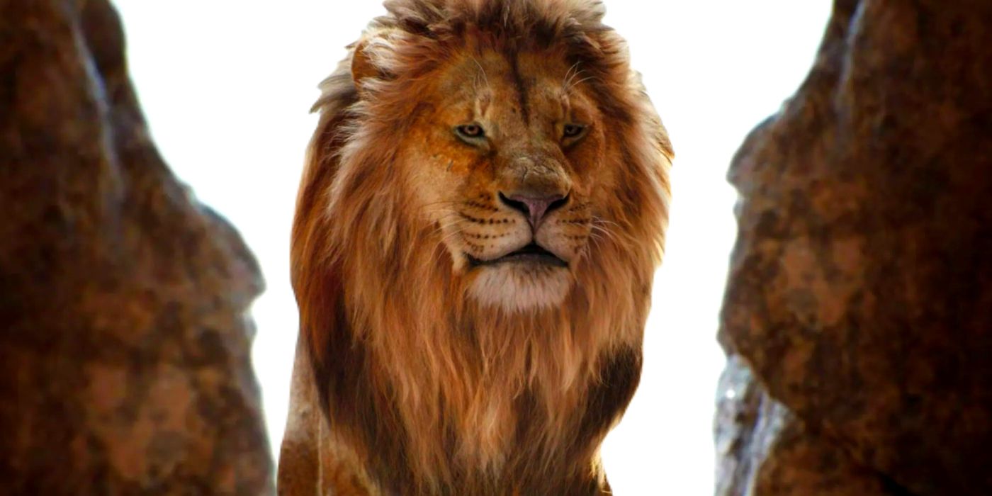 the-lion-king-prequel-image-reveals-young-mufasa-looking-over-pride-lands-in-live-action