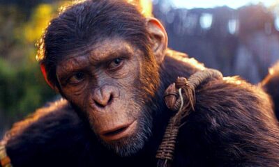 kingdom-of-the-planet-of-the-apes-director-calls-out-misinformation-on-cgi-comment