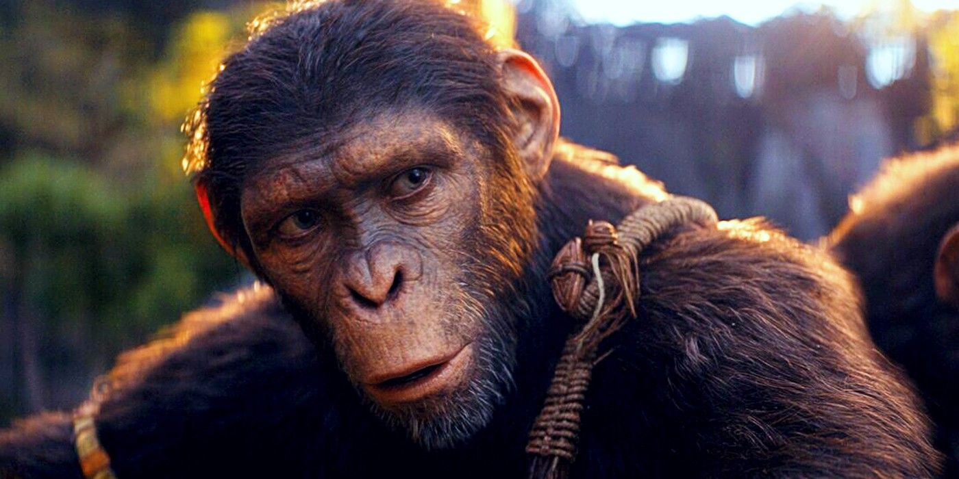 kingdom-of-the-planet-of-the-apes-director-calls-out-misinformation-on-cgi-comment