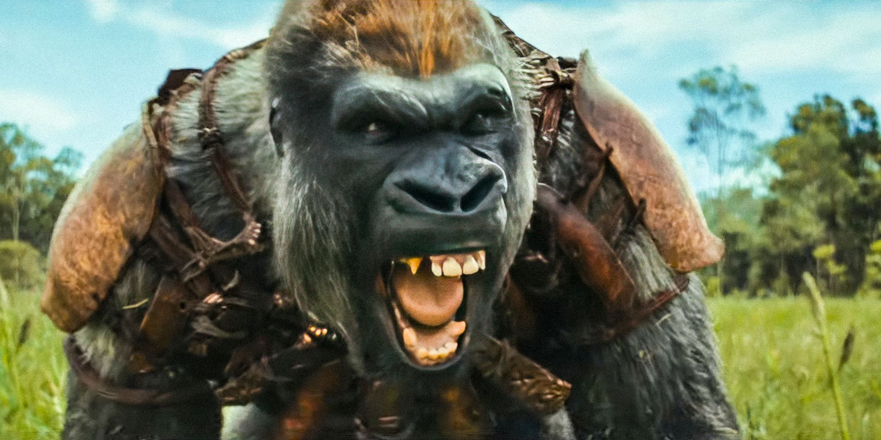 kingdom-of-the-planet-of-the-apes-director-reveals-if-any-other-apes-movies-need-to-be-watched-first