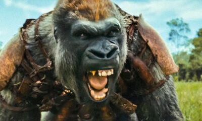 kingdom-of-the-planet-of-the-apes-director-reveals-if-any-other-apes-movies-need-to-be-watched-first